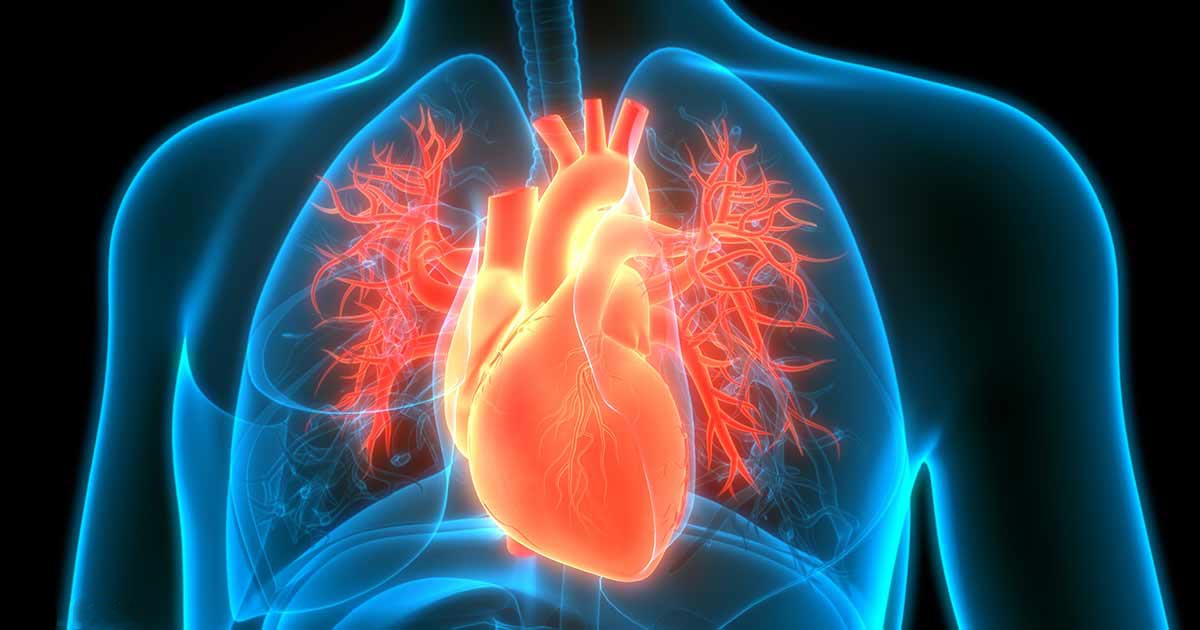 Dowiedz się w jaki sposób kwasy tłuszczowe omega-3 i witamina D mogą przynieść korzyści Twojemu sercu