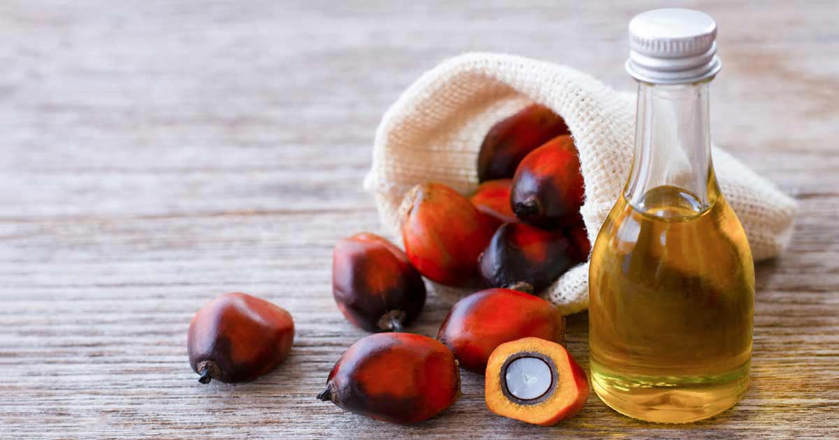 Eksport oleju palmowego wkrótce zostanie zakazany