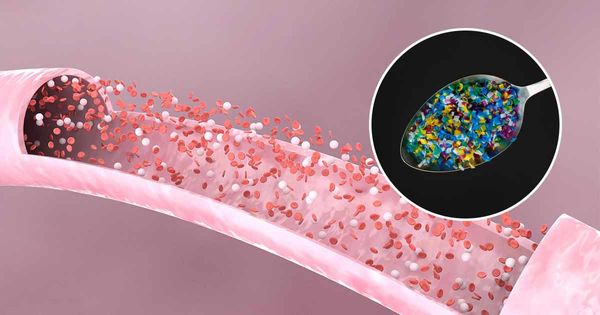 Po raz pierwszy wykryto mikroplastik w ludzkiej krwi