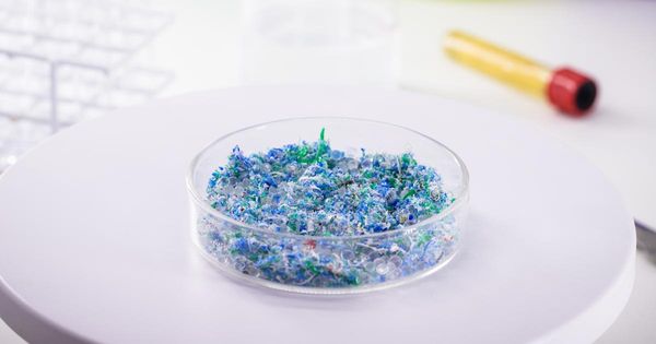 Mikroplastik z masek znaleziony w ludzkich płucach